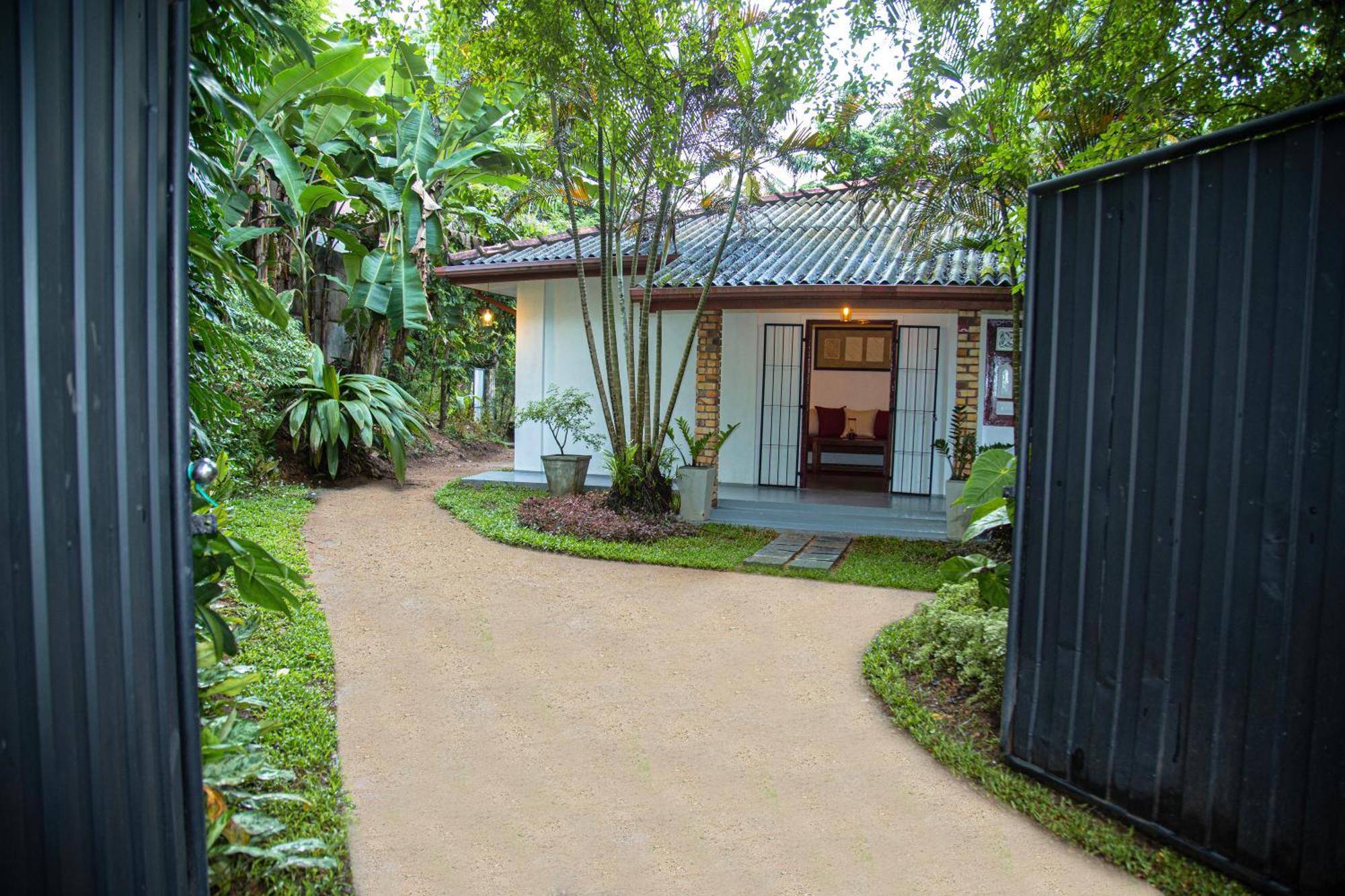 Villa Nutmeg Grove كالي المظهر الخارجي الصورة